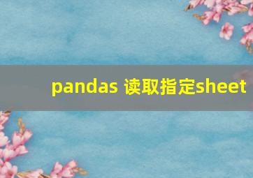 pandas 读取指定sheet